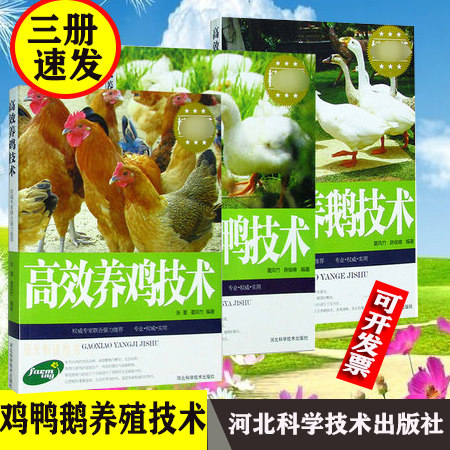 现货包邮三册高效养鸡技术