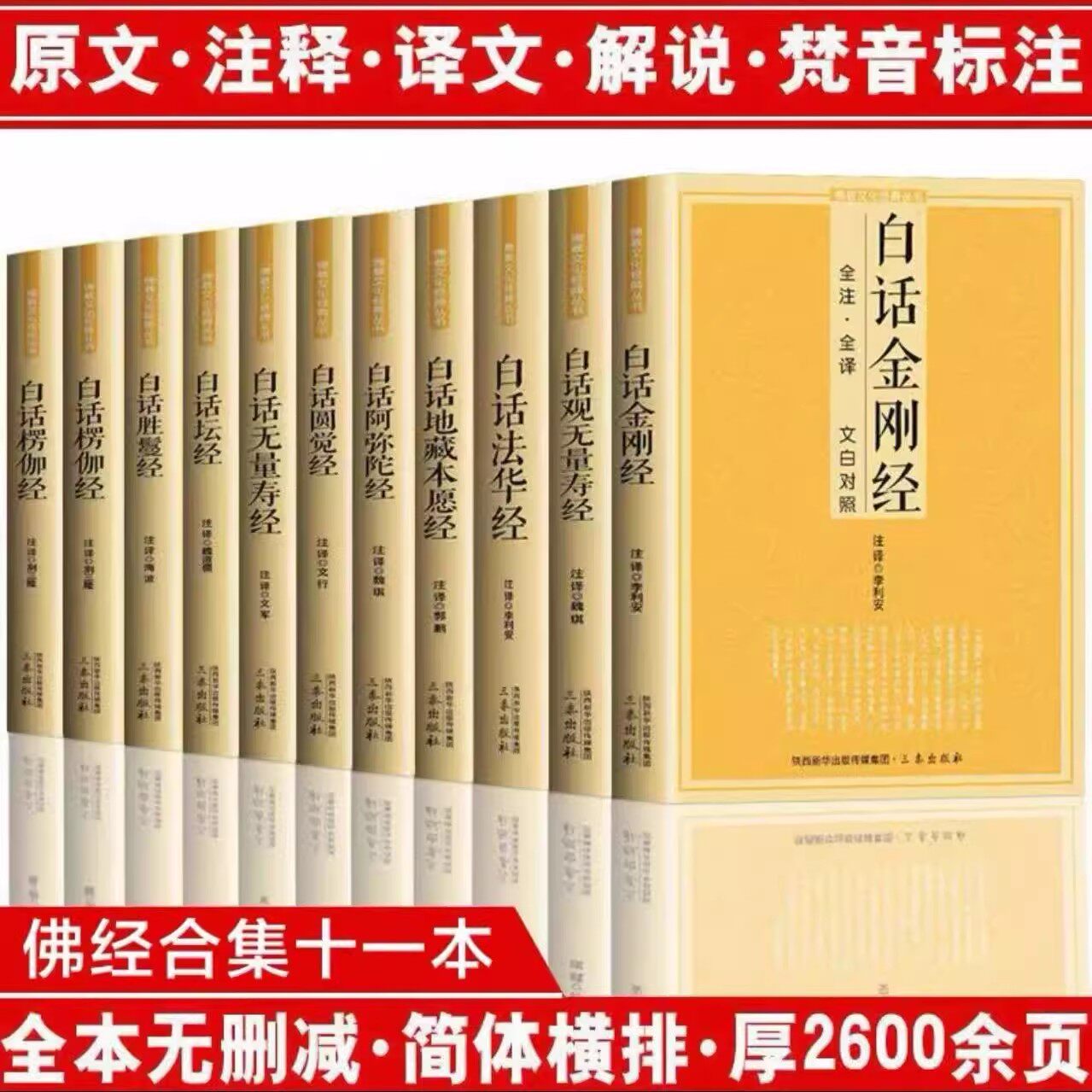 佛教十三经佛学经典全套11册白话