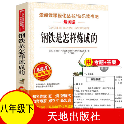 包邮正版 钢铁是怎样炼成的   青少年无障碍完整版 天地出版社 立人