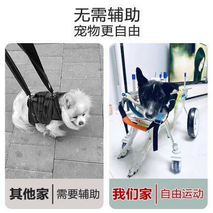 狗轮椅后肢瘫痪宠物代步车残疾狗狗后腿辅助猫泰迪大型小型犬支架