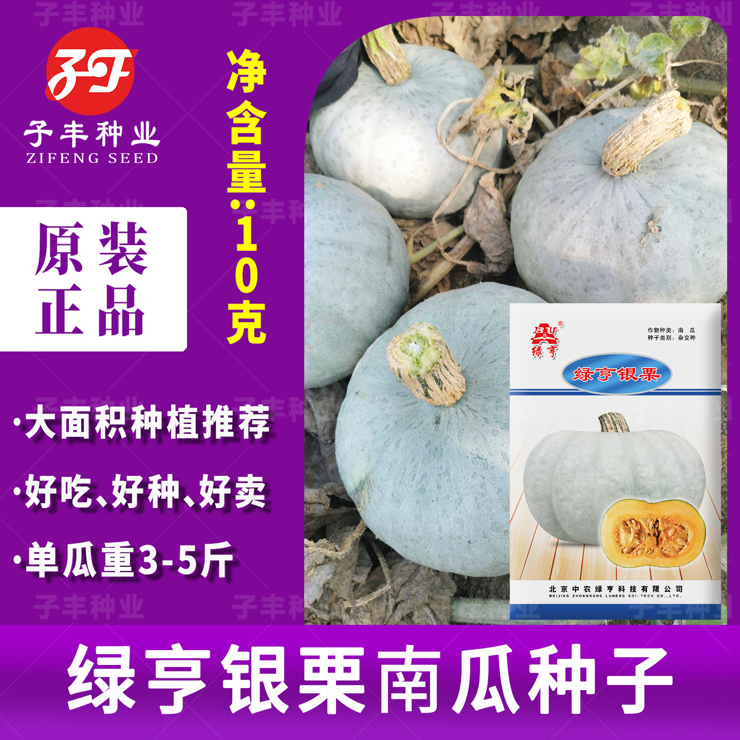 农户推荐板栗南瓜蔬菜种子银栗南瓜籽香甜粉糯糖度高白皮倭瓜种孑