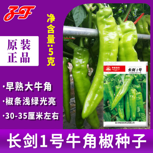 大果型牛角椒种子长剑1号浅绿皮大牛角春季夏秋微辣大尖椒辣椒籽