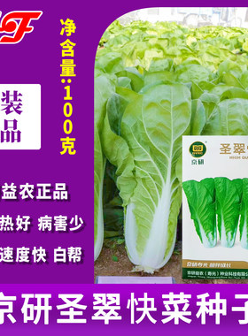 京研益农圣翠快菜种子100g