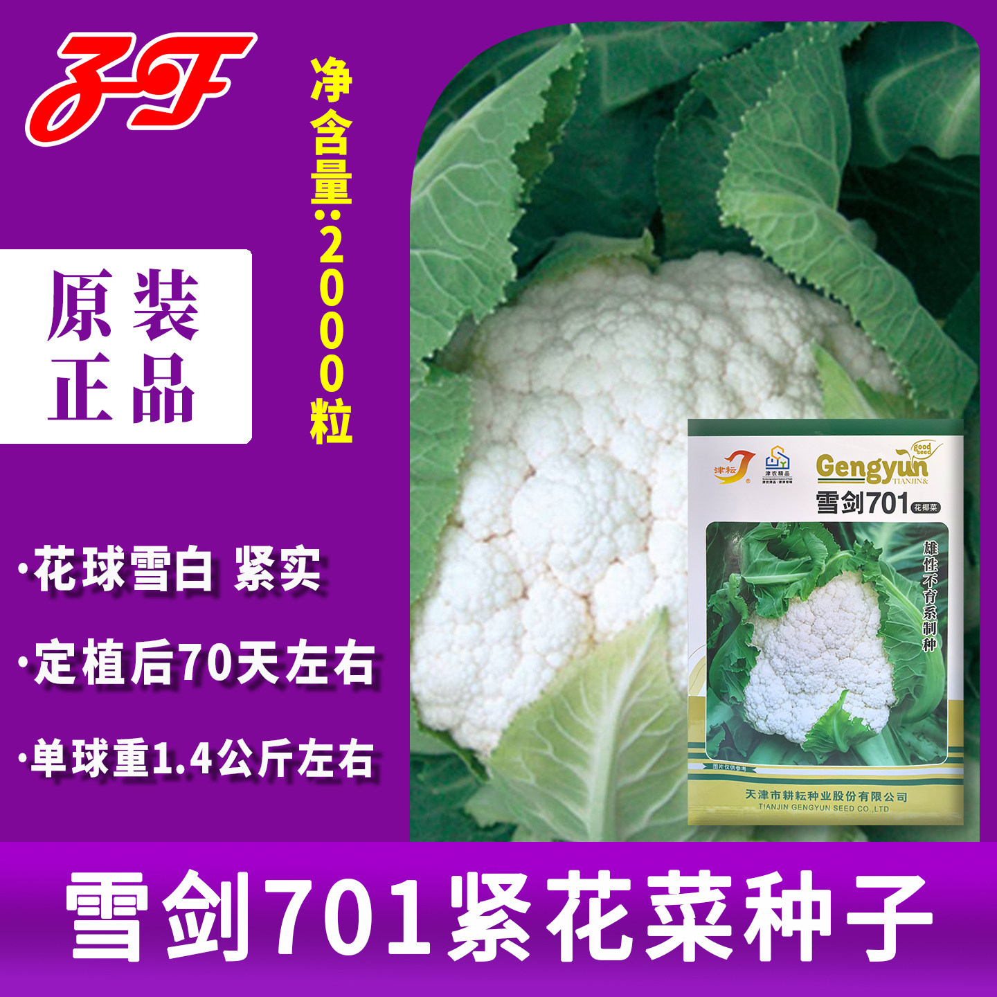 农户大田雪剑701秋季70天免盖球花球雪白紧花菜种子自护球实花菜