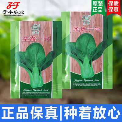 秋冬季耐寒圣盎一号小青菜种子春季晚抽苔青梗菜小白菜上海青种籽