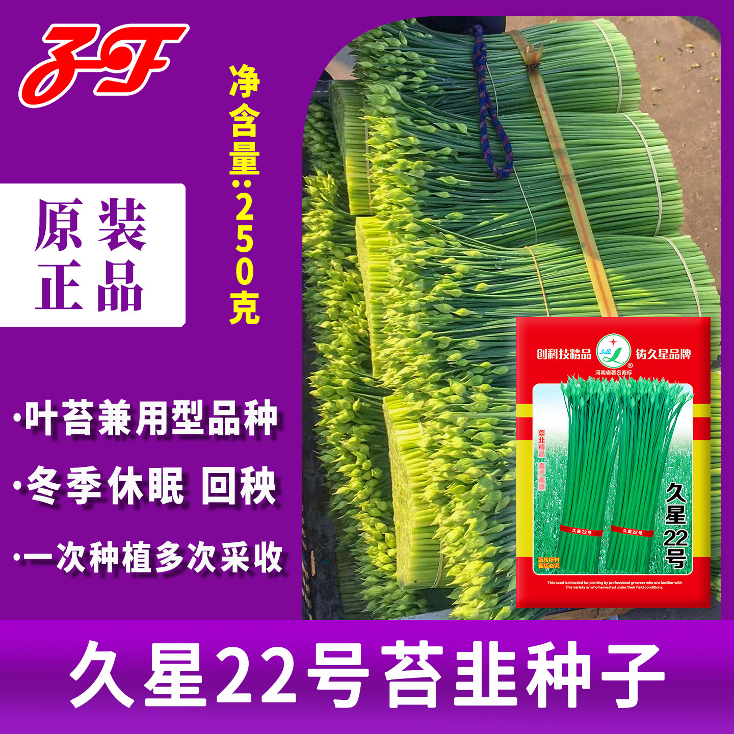 韭苔专用一年多茬韭菜种子