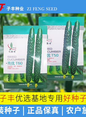 亿联特亮优T50T60全雌黄瓜种子春秋季越冬油亮型绿肉耐寒青瓜种籽