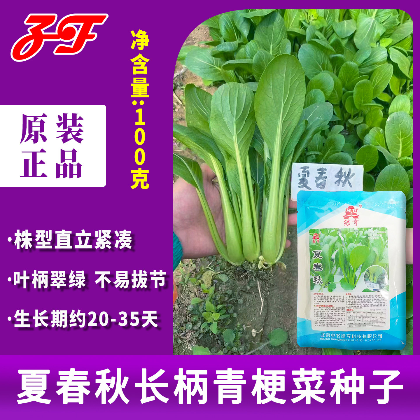【中农绿亨】夏春秋青梗菜种子100克耐热耐寒春季夏秋小菘菜种籽图片