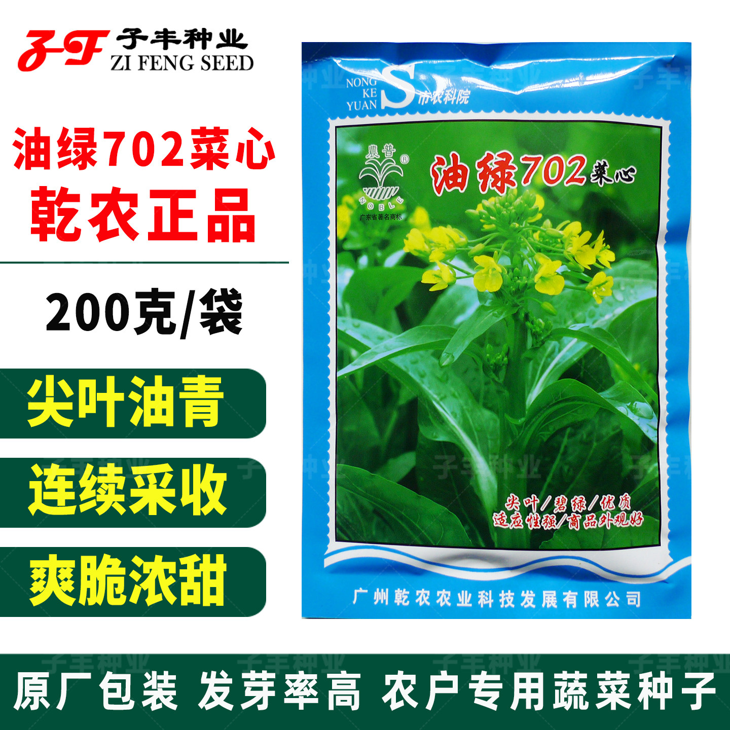 广东蔬菜籽春秋季四季耐热耐寒齐口花尖叶圆叶油绿702甜菜心种子