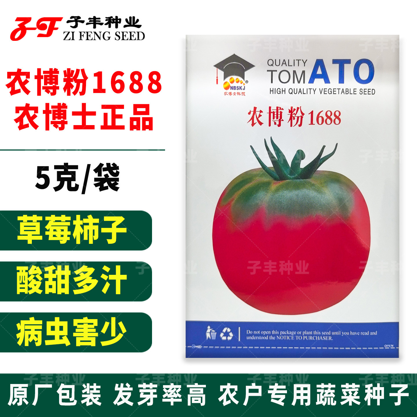 农博士1688水果番茄种子春秋耐低温酸甜大果粉果草莓柿子蔬果种籽