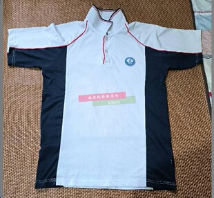 连南瑶族自治县民族高级中学校服夏纯棉短袖t恤polo衫上衣白色