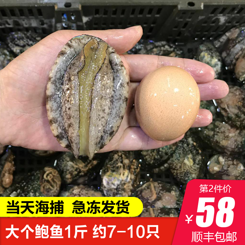 7-10头鲍鱼鲜活大个特大450g新鲜