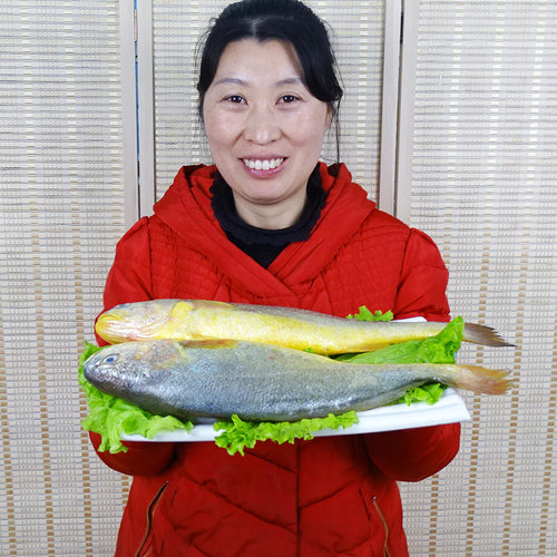 水产新鲜冷冻年货大黄鱼