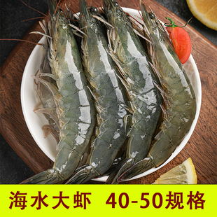 海洋大虾4050 3斤  海虾新鲜鲜活冷冻青虾海鲜水产鲜虾青岛发货