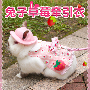 宠物兔子衣服小兔荷兰猪侏儒兔帽子垂耳兔专用饰品牵引绳兔子用品