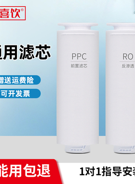 适用于DR2H1净水器滤芯SJR-Y1直饮净水机全套反渗透ro膜ppc复合
