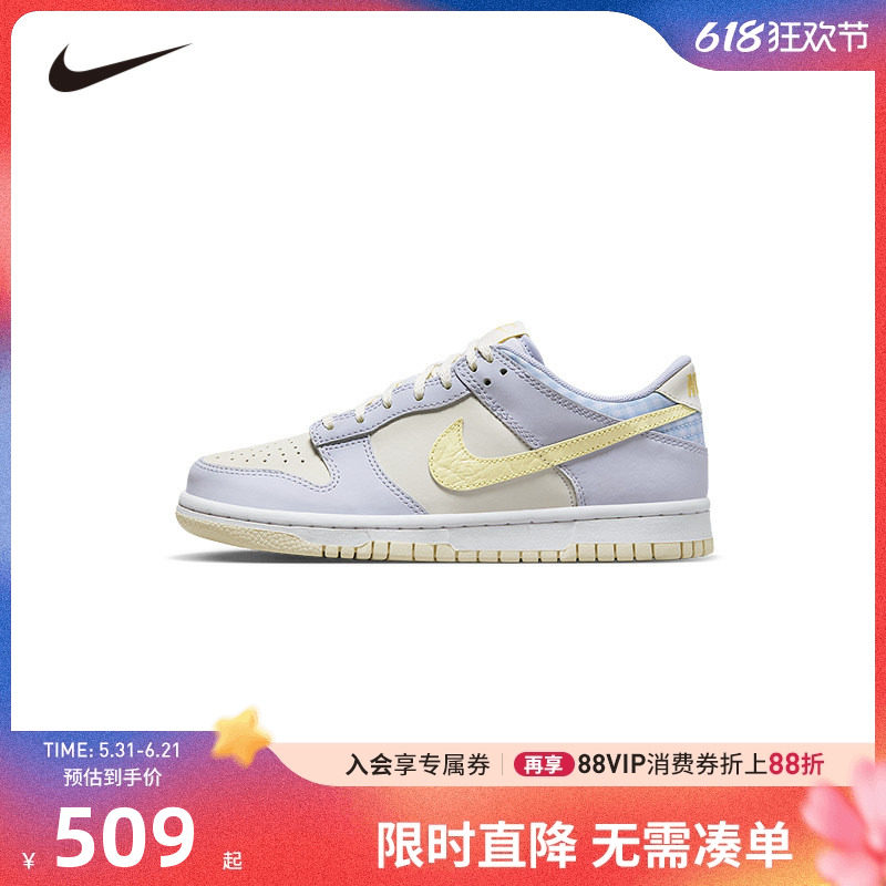 NIKE童鞋儿童板鞋男女童休闲运动鞋COUNT中大童鞋子潮FJ4641-536