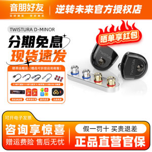 Twistura逆转未来 D-MINOR D小调 入耳式耳机可换线HiFi发烧耳塞