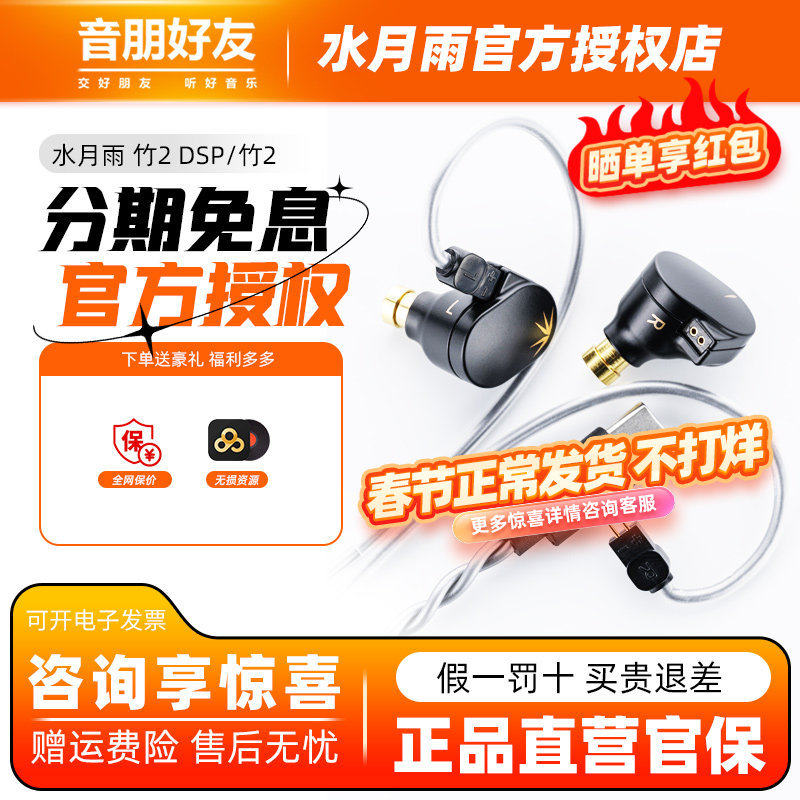 水月雨 竹2 DSP解码 入耳式耳机typec可换线HiFi发烧有线带麦耳塞