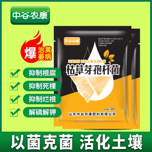 枯草芽孢菌杆菌农用微生物菌剂菌肥土壤改良有机松土壤活化宝种植