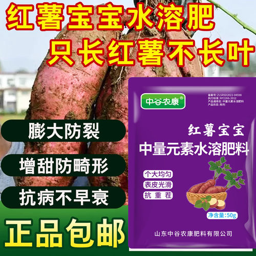红薯宝宝果番著署曹暮苕地下根茎膨大宝剂素药农控旺高品质叶面肥
