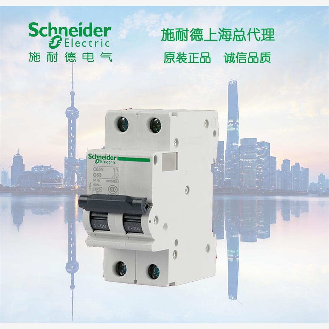 【库存现货正品】 施耐德空气断路器  A9F19201  ic65N 2P D1A