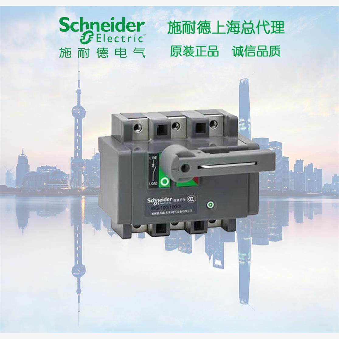 【库存现货正品】 施耐德 WG系列WG-250/160/3 负荷隔离开关3P 16