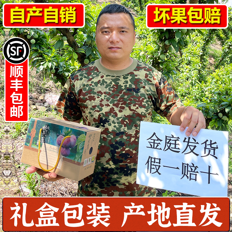 正宗浙江嵊州金庭桃形李李子红心李大果礼盒装顺丰现摘新鲜桃型李