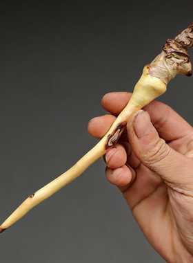 守一孤品◆酸枣木瘤疤随型发簪野趣古朴禅意新中式古风道士木簪子