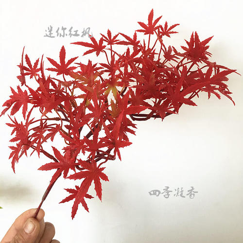 立体仿真造型树景观植物红枫叶