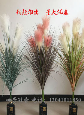 芦苇落地绿植干花橱窗狗尾巴草
