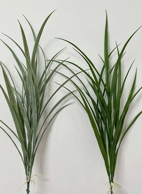 单只仿真凤兰花叶塑料田园禾苗假草落地装饰观叶绿色植物橱窗花艺