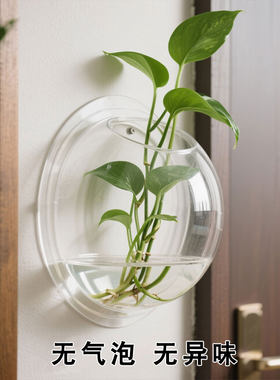 创意水养器皿透明壁挂