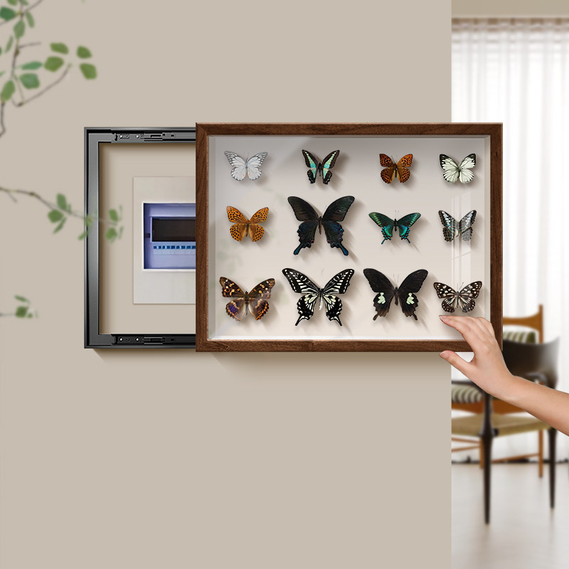 真蝴蝶昆虫标本电表箱盒遮挡挂画