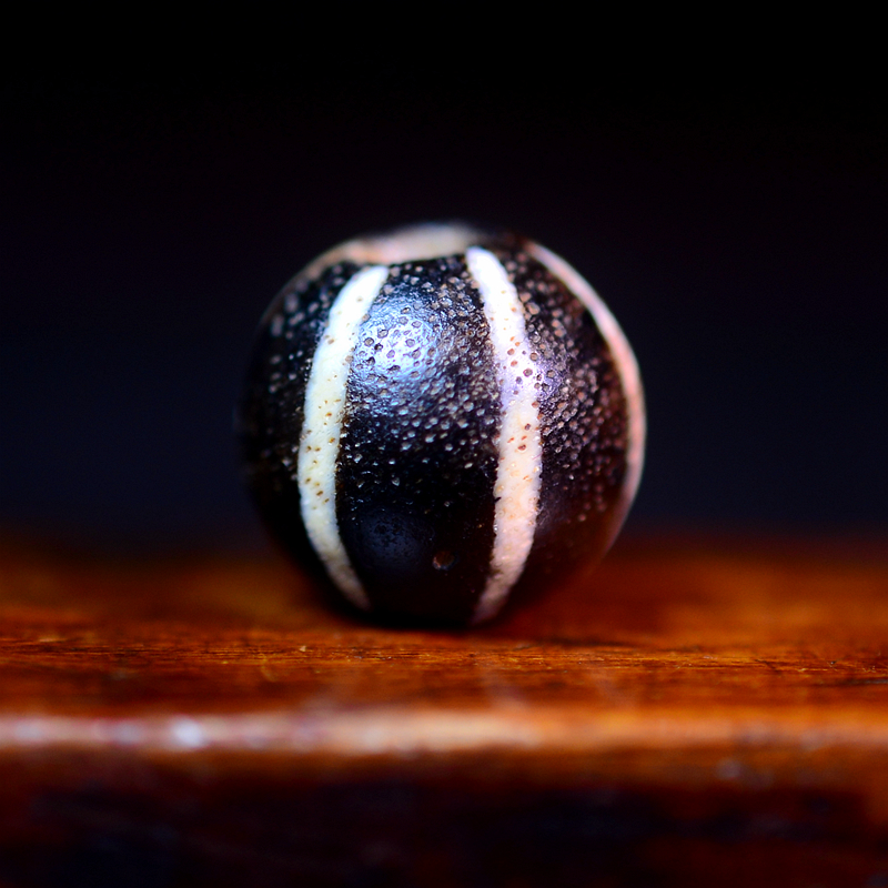 千年古骠国黑白骠珠精品多宝黄金尺寸玉化PYU六线瓜珠古玩收藏品