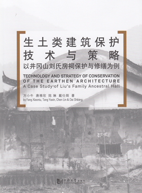生土类建筑保护技术与策略 同济大学出版社