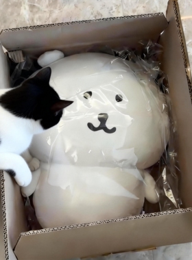 自嘲熊娃娃超大号玩偶毛绒玩具chiikawa公仔女生睡觉抱枕生日礼物