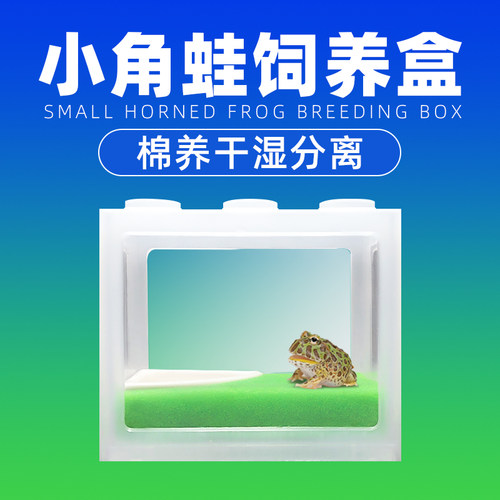 旺宠角蛙饲养盒下单即送滴管镊子