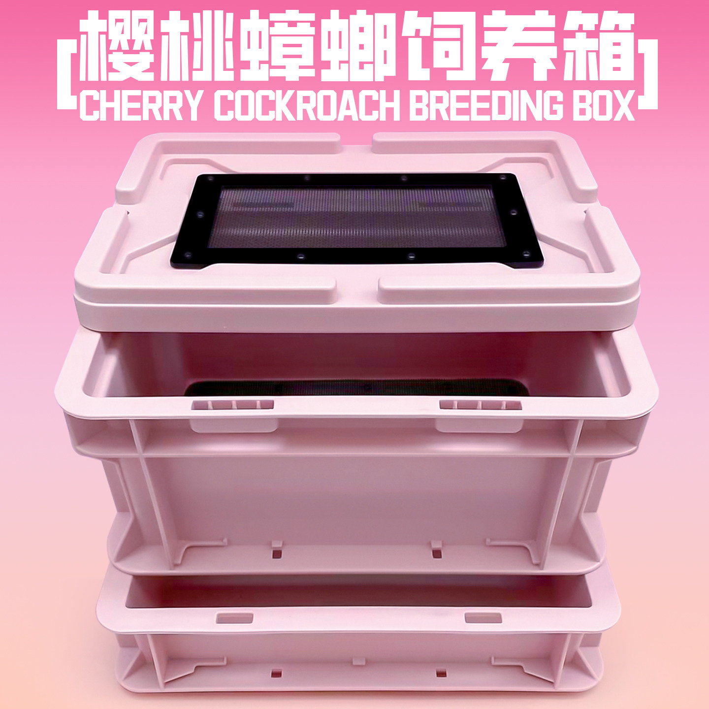 樱桃蟑螂杜比亚养殖盒爬宠携带箱针头蟋蟀饲养箱面包虫大麦虫饲料
