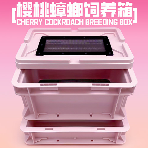 樱桃蟑螂杜比亚工业风饲养箱