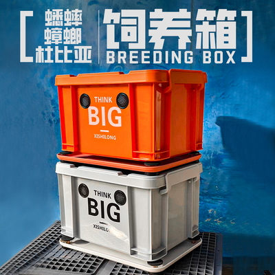 蟋蟀蟑螂杜比亚饲养箱