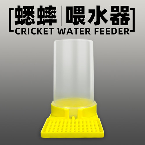 樱桃蟑螂杜比亚蟋蟀喂水器