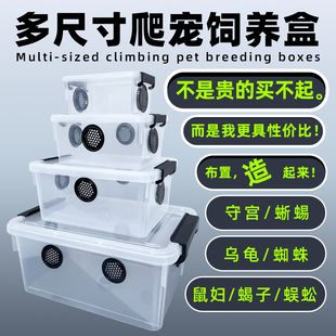 爬宠饲养箱通风透气鼠妇守宫蜘蛛蝎子乌龟蜗牛甲虫蟑螂杜比亚盒子