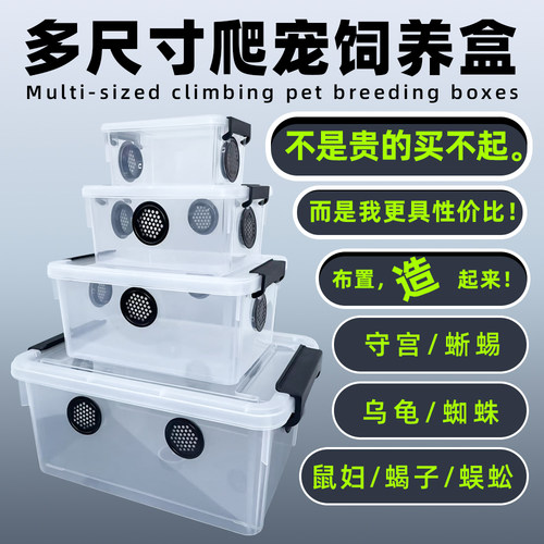 爬宠饲养箱多规格尺寸箱