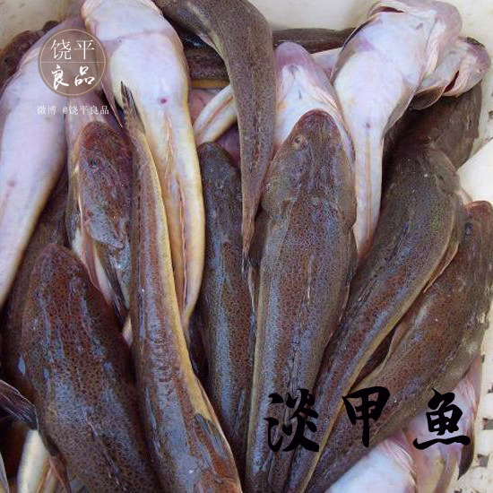 潮汕特色 当天海捕海鱼 淡甲鱼 鲬鱼 辫子鱼菜脯淡甲鱼500g