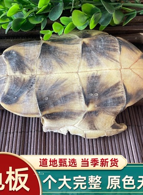 龟板 中药材 精选生龟板 龟甲500克包邮 免费磨龟板粉 另售炙龟板