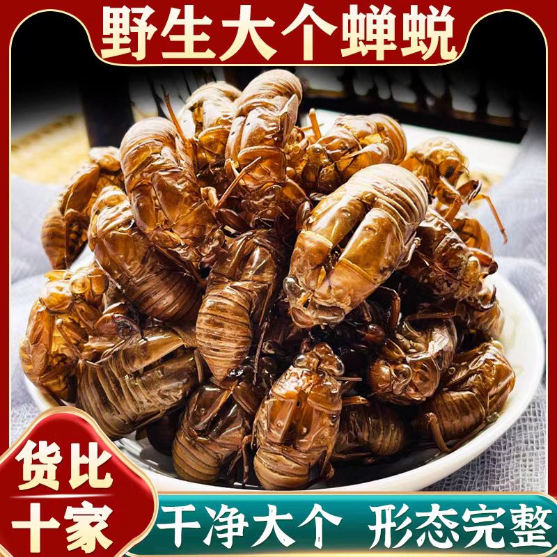 散装野生蝉蜕天然中草药