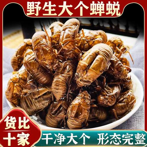 散装野生蝉蜕天然中草药