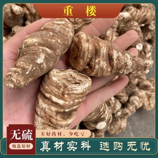 正品云南重楼中药材野七叶一枝花干货500g蚤休独角莲正宗丁毒豆片