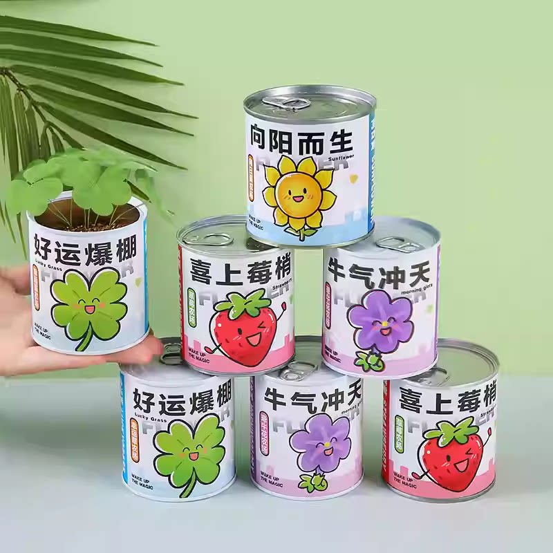开花种植祝福盆栽花卉花草娃娃小盆栽幼儿园手工桌面绿植可爱摆件